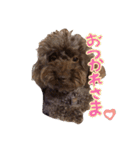 MORI KARIN 2（個別スタンプ：22）