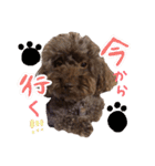 MORI KARIN 2（個別スタンプ：24）