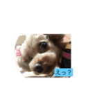 さくらの1日（個別スタンプ：2）