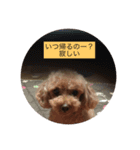 さくらの1日（個別スタンプ：4）
