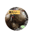 さくらの1日（個別スタンプ：5）
