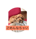 さくらの1日（個別スタンプ：6）