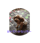 さくらの1日（個別スタンプ：7）