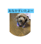 さくらの1日（個別スタンプ：8）
