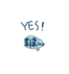 Fisheggg is an egg（個別スタンプ：15）