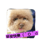 lovekiki（個別スタンプ：1）