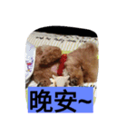 lovekiki（個別スタンプ：2）