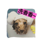 lovekiki（個別スタンプ：3）