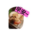 lovekiki（個別スタンプ：4）
