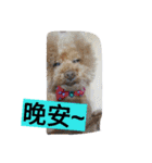 lovekiki（個別スタンプ：7）