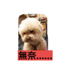 lovekiki（個別スタンプ：10）