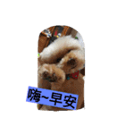 lovekiki（個別スタンプ：13）