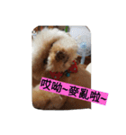 lovekiki（個別スタンプ：14）