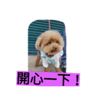 lovekiki（個別スタンプ：15）