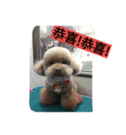 lovekiki（個別スタンプ：16）