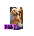lovekiki（個別スタンプ：18）