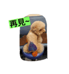 lovekiki（個別スタンプ：20）