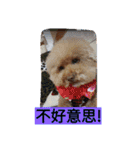 lovekiki（個別スタンプ：24）