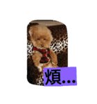 lovekiki（個別スタンプ：26）