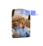 lovekiki（個別スタンプ：31）