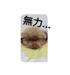 lovekiki（個別スタンプ：38）