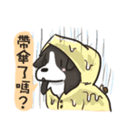 Border Collie - Coin 365 days 2.（個別スタンプ：6）