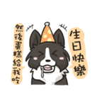 Border Collie - Coin 365 days 2.（個別スタンプ：7）