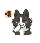 Border Collie - Coin 365 days 2.（個別スタンプ：10）