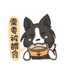 Border Collie - Coin 365 days 2.（個別スタンプ：14）