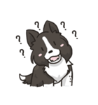 Border Collie - Coin 365 days 2.（個別スタンプ：15）