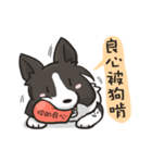 Border Collie - Coin 365 days 2.（個別スタンプ：17）