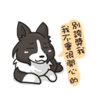 Border Collie - Coin 365 days 2.（個別スタンプ：18）