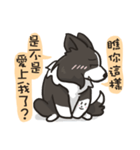 Border Collie - Coin 365 days 2.（個別スタンプ：19）