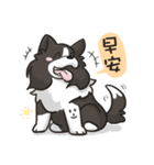 Border Collie - Coin 365 days 2.（個別スタンプ：23）