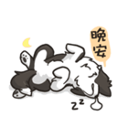 Border Collie - Coin 365 days 2.（個別スタンプ：24）