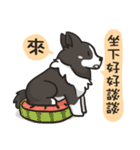 Border Collie - Coin 365 days 2.（個別スタンプ：27）