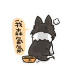 Border Collie - Coin 365 days 2.（個別スタンプ：29）