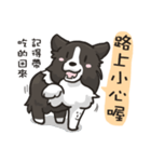 Border Collie - Coin 365 days 2.（個別スタンプ：30）