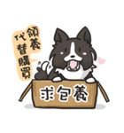 Border Collie - Coin 365 days 2.（個別スタンプ：31）