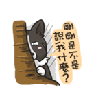 Border Collie - Coin 365 days 2.（個別スタンプ：33）