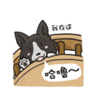 Border Collie - Coin 365 days 2.（個別スタンプ：34）