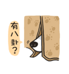 Border Collie - Coin 365 days 2.（個別スタンプ：39）