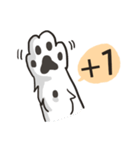 Border Collie - Coin 365 days 2.（個別スタンプ：40）