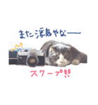 kotacafe（個別スタンプ：6）
