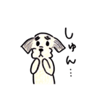 うちの犬たち5（個別スタンプ：8）