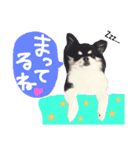 毎日コタロー2（個別スタンプ：2）