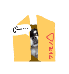 毎日コタロー2（個別スタンプ：6）