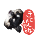 毎日コタロー2（個別スタンプ：8）
