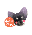 毎日コタロー2（個別スタンプ：9）