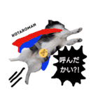 毎日コタロー2（個別スタンプ：15）